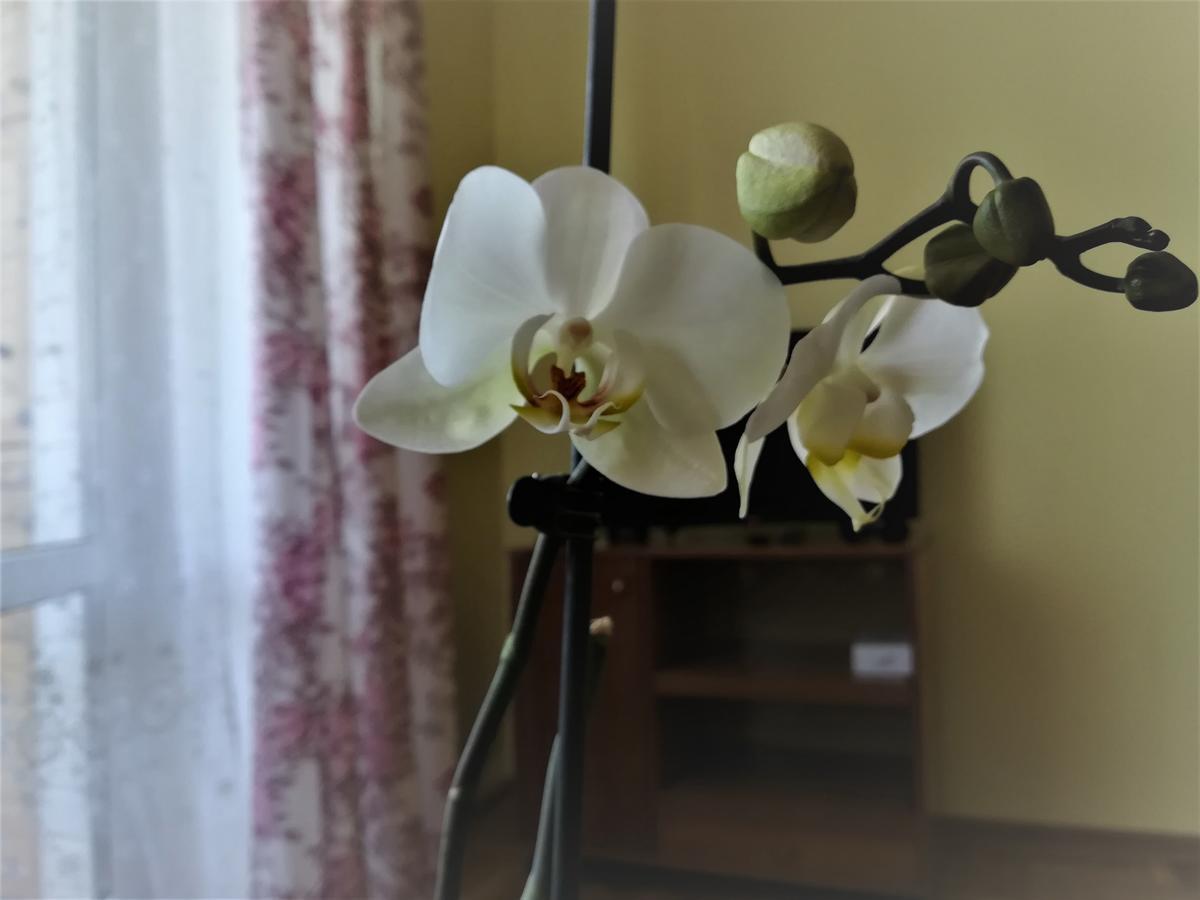 Apartament Na Adamkovskoy Apartment Brest Ngoại thất bức ảnh
